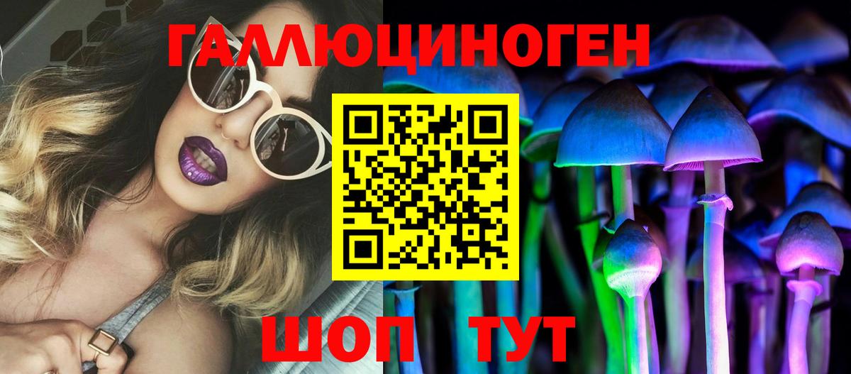 Псилоцибиновые грибы Cubensis Тихорецк