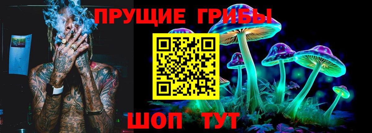 Тихорецк  Галлюциногенные грибы GOLDEN TEACHER  Вход с VPN 